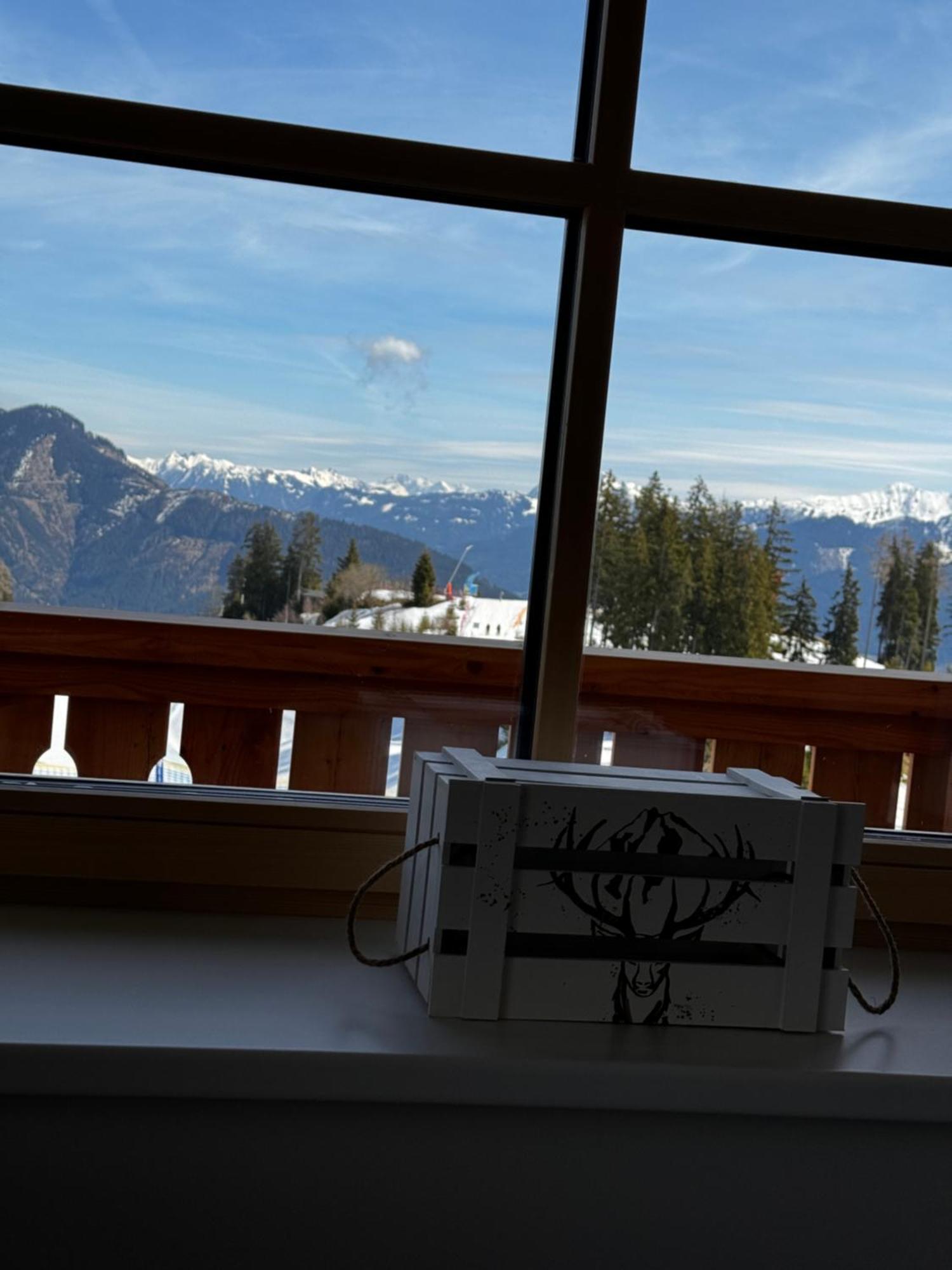 Glockneralm - Exklusiv Erreichbar Mit Skilift Zell am See Exterior photo